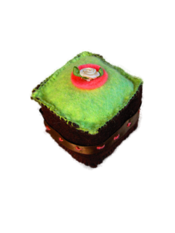 Le chocolat noir pistache